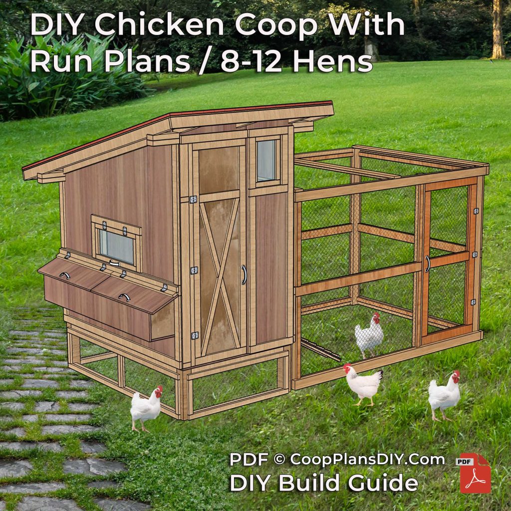 Sturdy wooden chicken coop plan with gable roof