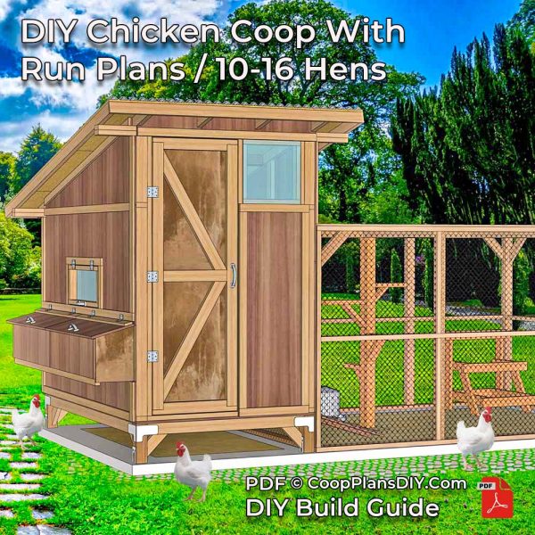 DIY chicken coop plan with secure run – backyard poultry project