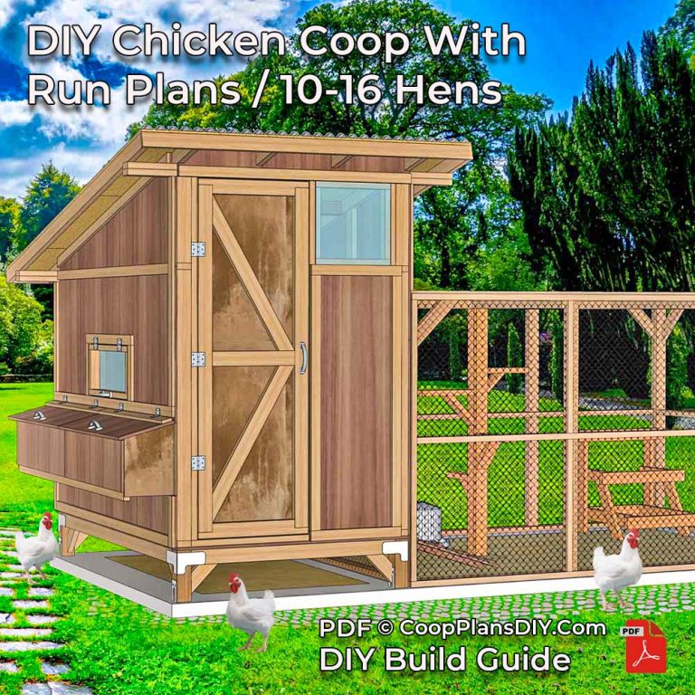 DIY chicken coop plan with secure run – backyard poultry project