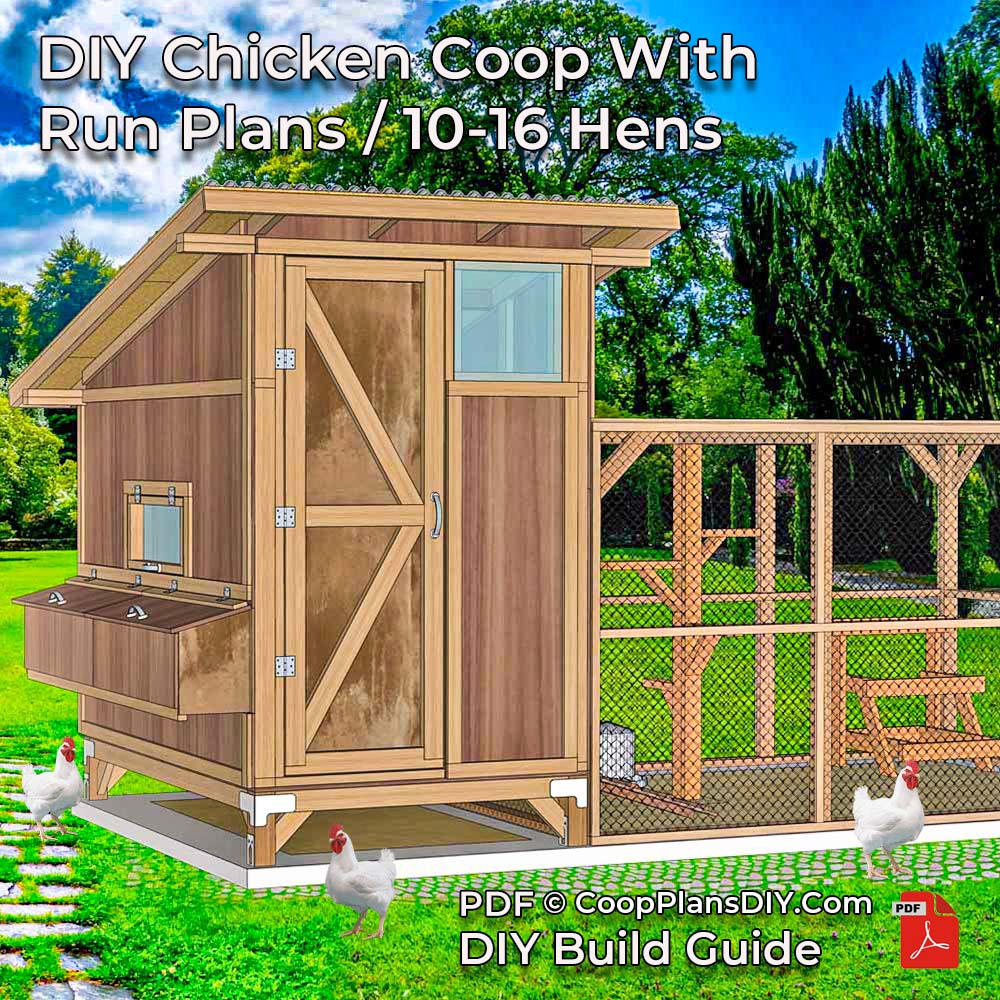 Walk-in chicken coop with large secure run